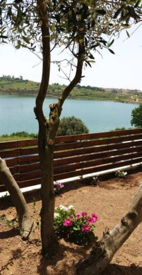 צימר וידאד, Majdal Shams